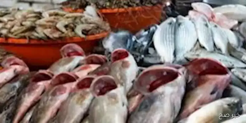 أسعار الأسماك والمأكولات البحرية في سوق العبور اليوم: 83 جنيهًا لكيلو البلطي