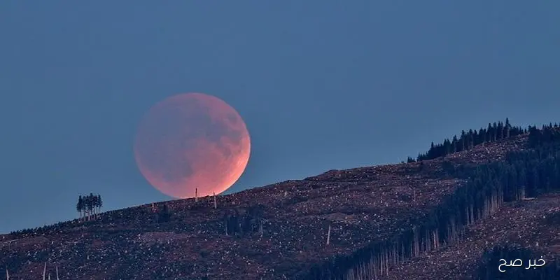 كيف نصلي صلاة خسوف القمر؟ .. دار الإفتاء تُجيب بالتفصيل وتوضح حكمها
