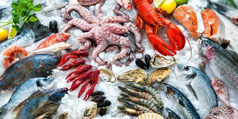 اسعار السمك اليوم في سوق العبور الأربعاء 10\9\2025 بالكيلو .. قفزة جديدة في البوري