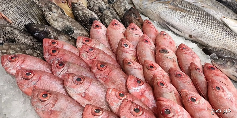 اسعار السمك اليوم في سوق العبور بتاريخ 8\9\2025 .. تراجع الكابوريا والبلطي