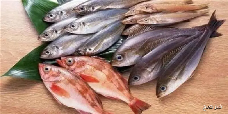 اسعار السمك اليوم الاثنين 1 سبتمبر 2025 في سوق العبور ..البلطي بـ 81 جنيها