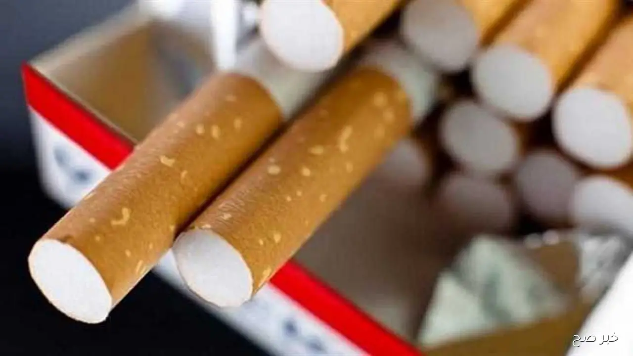 رسميًا.. اسعار السجائر اليوم الثلاثاء 30 سبتمبر 2025 بعد الزيادة الأخيرة بالأسواق والمحال التجارية