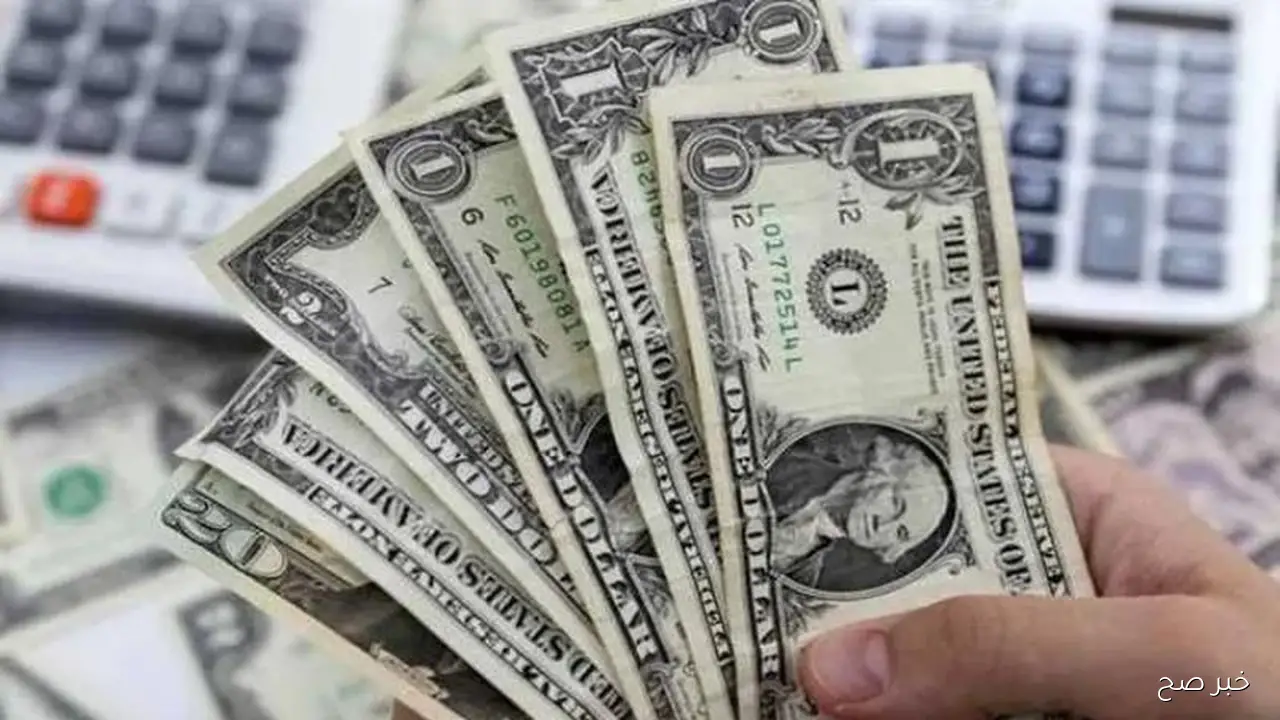 مباشر الآن.. سعر الدولار في السوق السوداء اليوم الاربعاء 24-9-2025 مقابل الجنيه