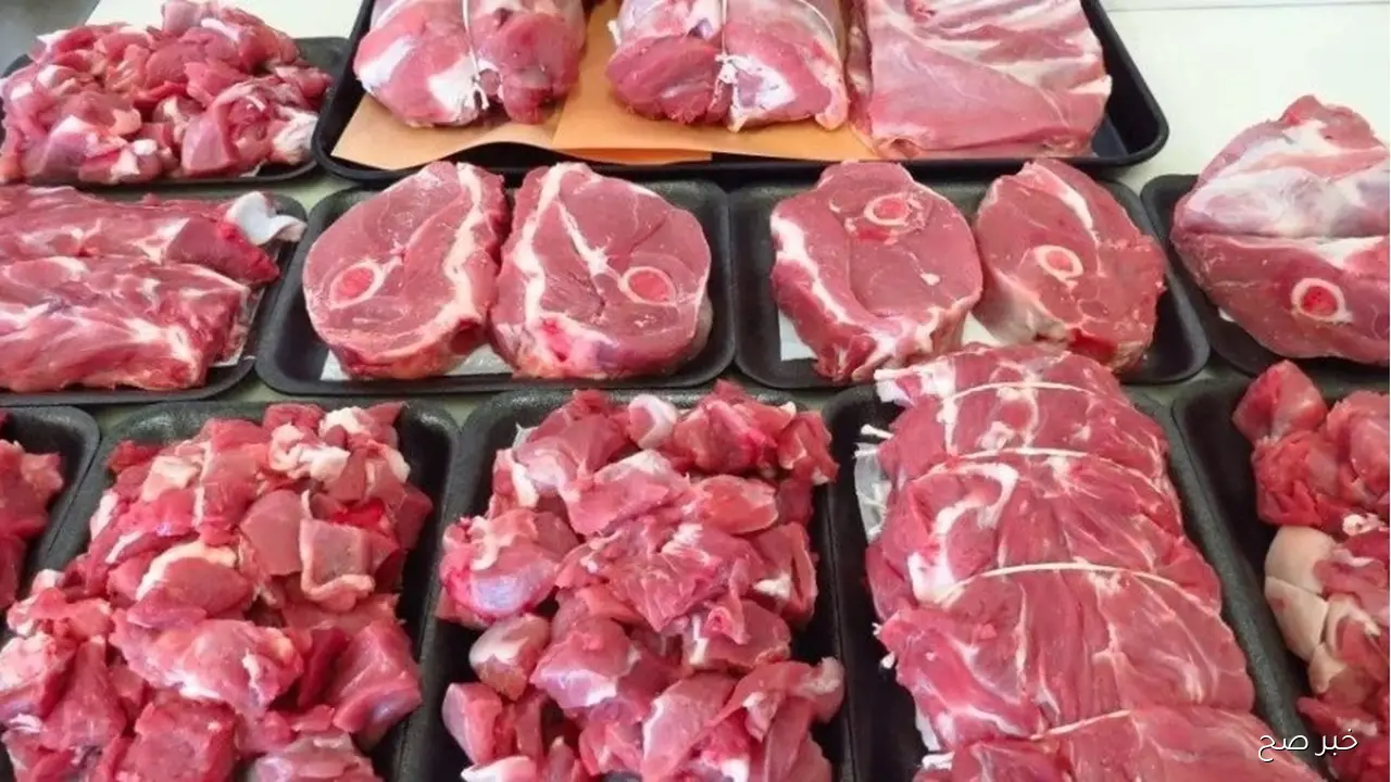 الكندوز الكبير والبتلو بكام؟.. اسعار اللحوم الحمراء اليوم الثلاثاء 30 سبتمبر 2025 بمحلات الجزاره ومنافذ المجمعات الاستهلاكيه