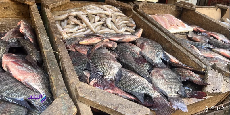 فولت ولا لسه؟.. اسعار البنزين اليوم الثلاثاء 2-9-2025 في مصر وفقاً لقرار لجنة التسعير