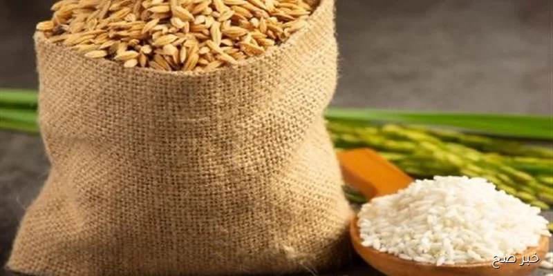 استقرار تام.. سعر الارز الشعير اليوم الجمعة 5 سبتمبر 2025 في كافة الاسواق المصرية