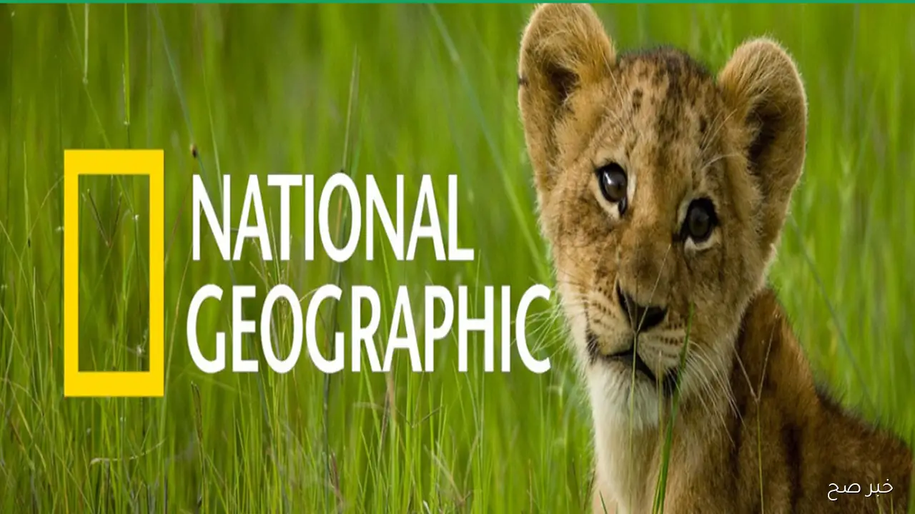 تردد قناة ناشيونال جيوغرافيك 2025 لمتابعة أقوى البرامج الوثائقية مجانًا بجودة HD