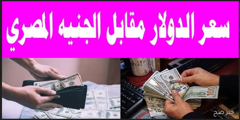 كم سعر 100 دولار اليوم في السوق السوداء؟ الخميس 11 سبتمبر 2025 وفق آخر تحديث بمنتصف التعاملات