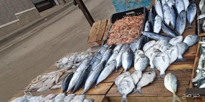 قائمة اسعار السمك اليوم الاحد 2025/9/7 والمأكولات البحرية بالاسواق وسوق العبور