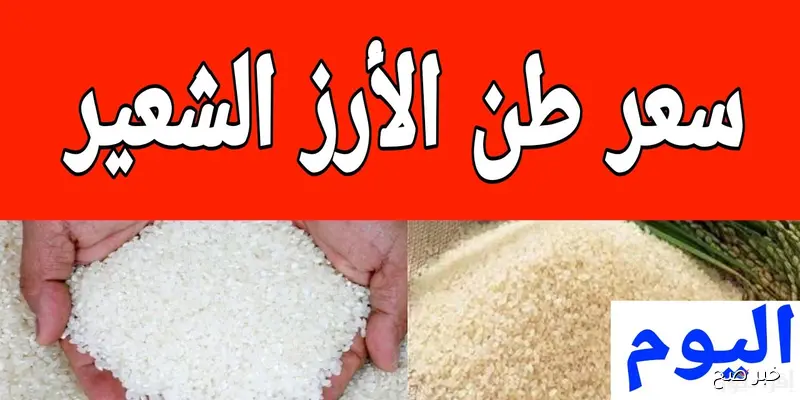 سعر الأرز الشعير اليوم الأربعاء 10 سبتمبر 2025 في المضارب والأسواق المصرية