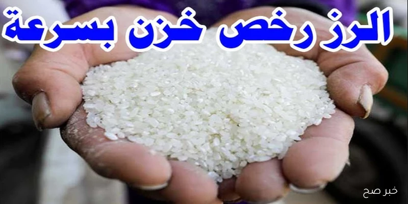 سعر طن الأرز الشعير اليوم الاربعاء 10 سبتمبر 2025 في مصر وأسعار السلع الغذائية الأساسية وفقًا للتعاملات اليومية