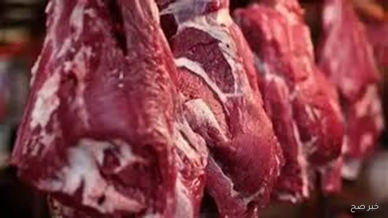 بلدي وكندوز.. قائمة أسعار اللحوم اليوم الخميس 25 سبتمبر 2025 بمحلات الجزارة ومنافذ البيع