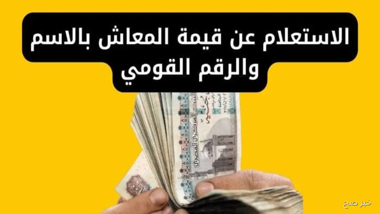 متاح الآن.. الاستعلام عن زيادة المعاشات 2025 بالرقم القومي عبر nosi.gov.eg ..موعد صرف مستحقات شهر اكتوبر