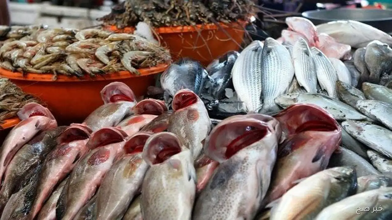 قائمة اسعار السمك اليوم للمستهلك الثلاثاء 16-9-2025 داخل سوق العبور وحلقات الاسماك