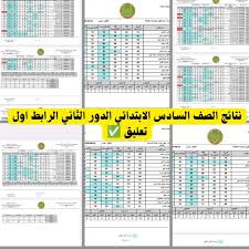 برابـط مبـاشر.. نتائج السادس 2025 الدور الثاني جميع محافظات العراق بالرقم الامتحاني عبر موقع وزارة التربية العراقية