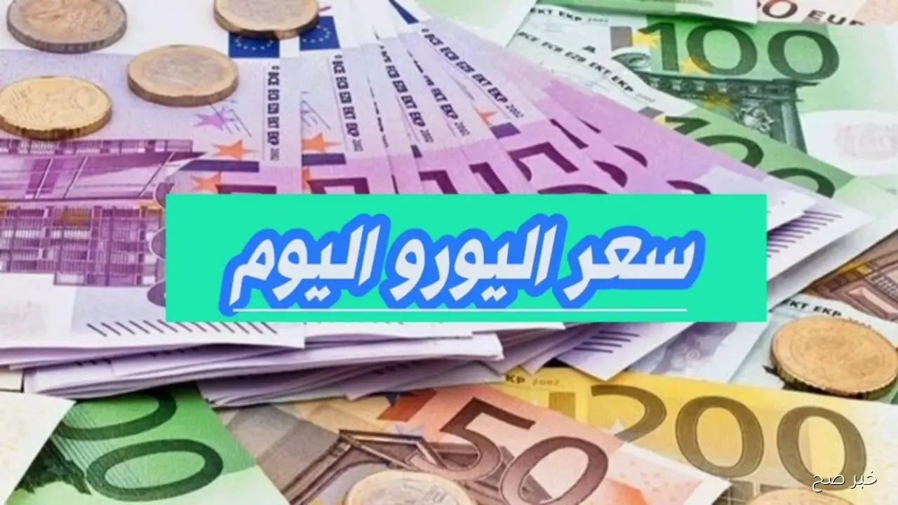 “تذبذب الأوروبي”.. سعر اليورو اليوم مقابل الجنية المصري في البنوك والسوق السوداء