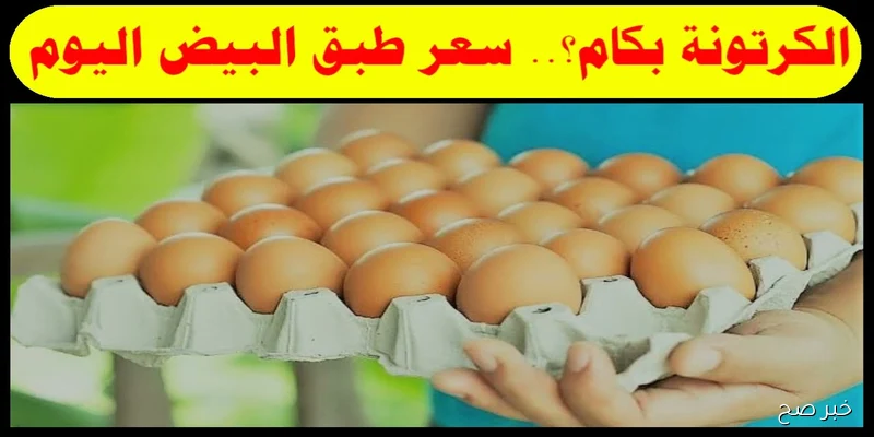 سعر كرتونة البيض اليوم للمستهلك السبت 6 سبتمبر 2025.. استقرار نسبي في الأسواق