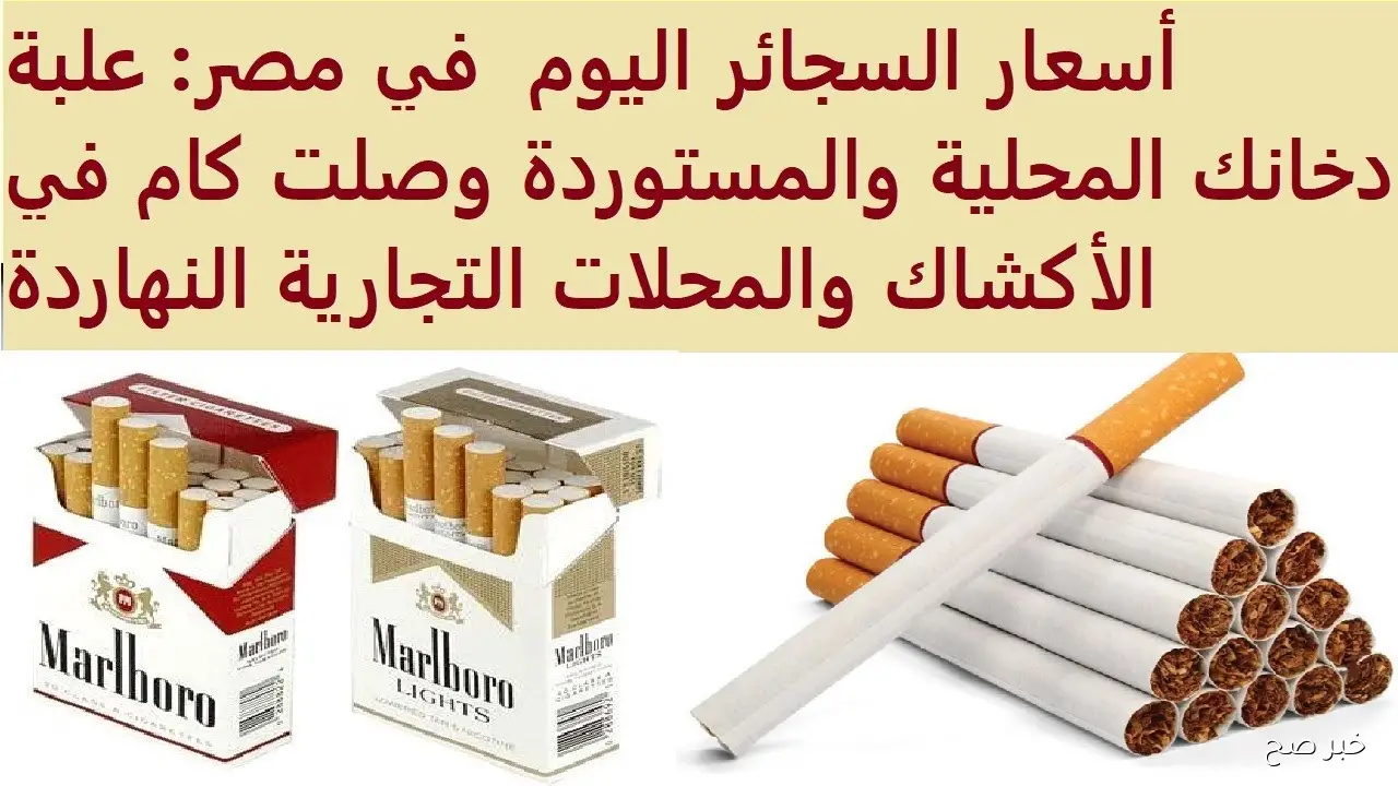 “12% زيادة “.. اسعار السجائر اليوم الأربعاء 24-9-2025 بعد تطبيق الزيادة السنوية