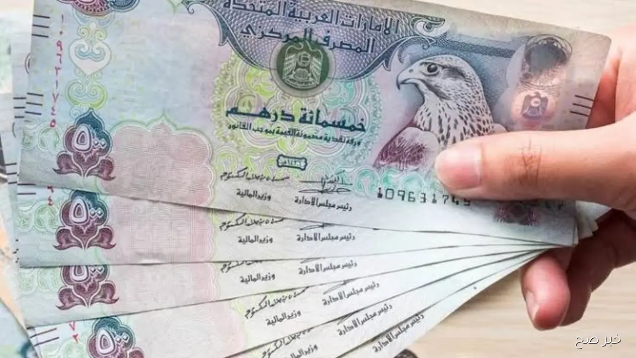 سعر الدرهم الاماراتي مقابل الجنيه المصري اليوم الجمعة 19/9/2025 في البنوك والسوق السوداء