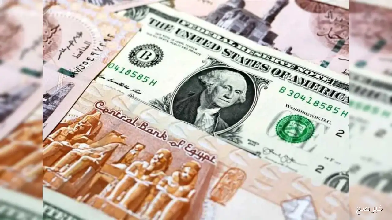 سعر الدولار مقابل الجنيه المصري اليوم الخميس 11/9/2025 في البنوك والسوق السوداء