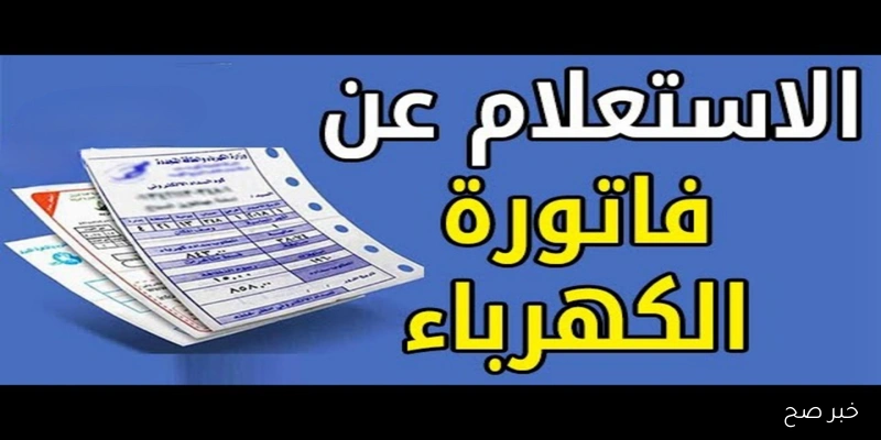 كيفية الاستعلام ودفع فاتورة الكهرباء إلكترونيًا 2025 عبر موقع الشركة القابضة eservices.eehc.gov.eg