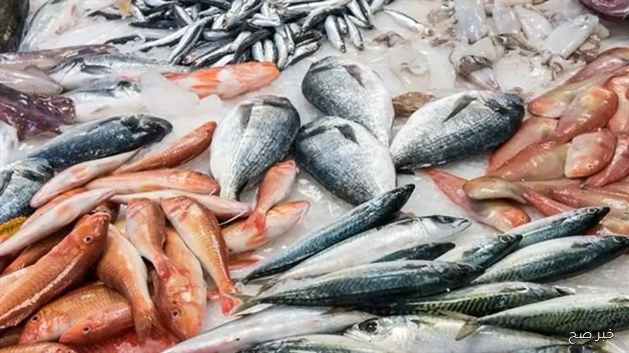 تباين في أسعار السمك اليوم الاحد 26 اكتوبر 2025 في سوق العبور للجملة وحلقات الاسماك