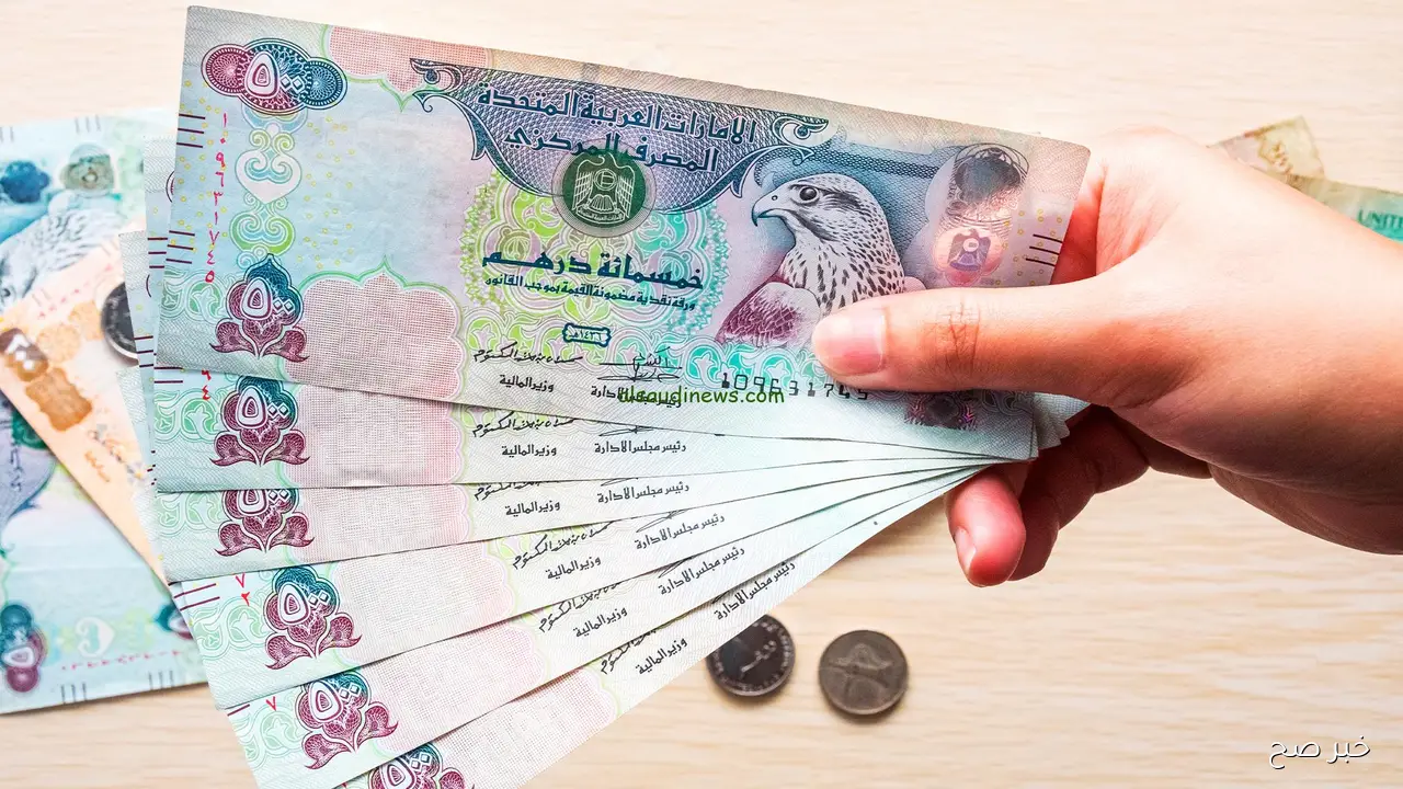 سعر الدرهم الإماراتي مقابل الجنيه المصري اليوم الثلاثاء 28-10-2025 في البنوك المحلية والسوق السوداء