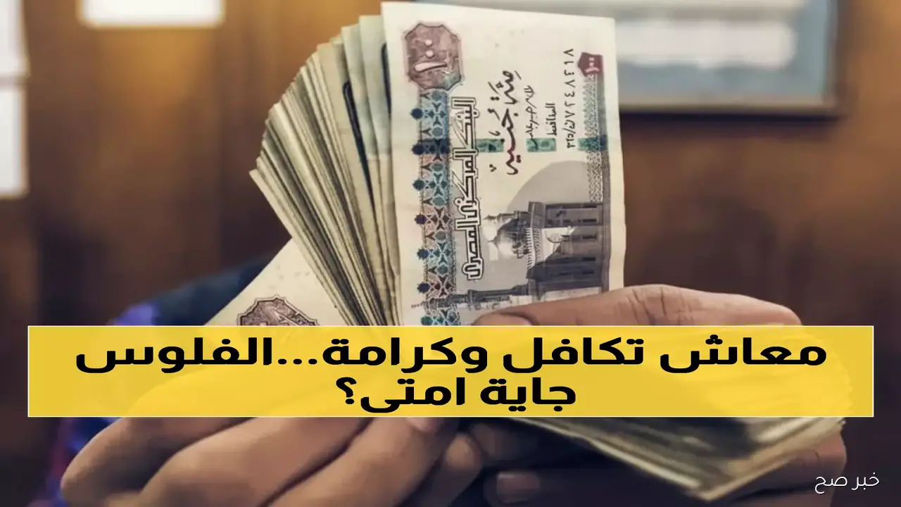 وزارة التضامن تعلن موعد صرف معاش تكافل وكرامة شهر نوفمبر 2025 والفئات المستحقة