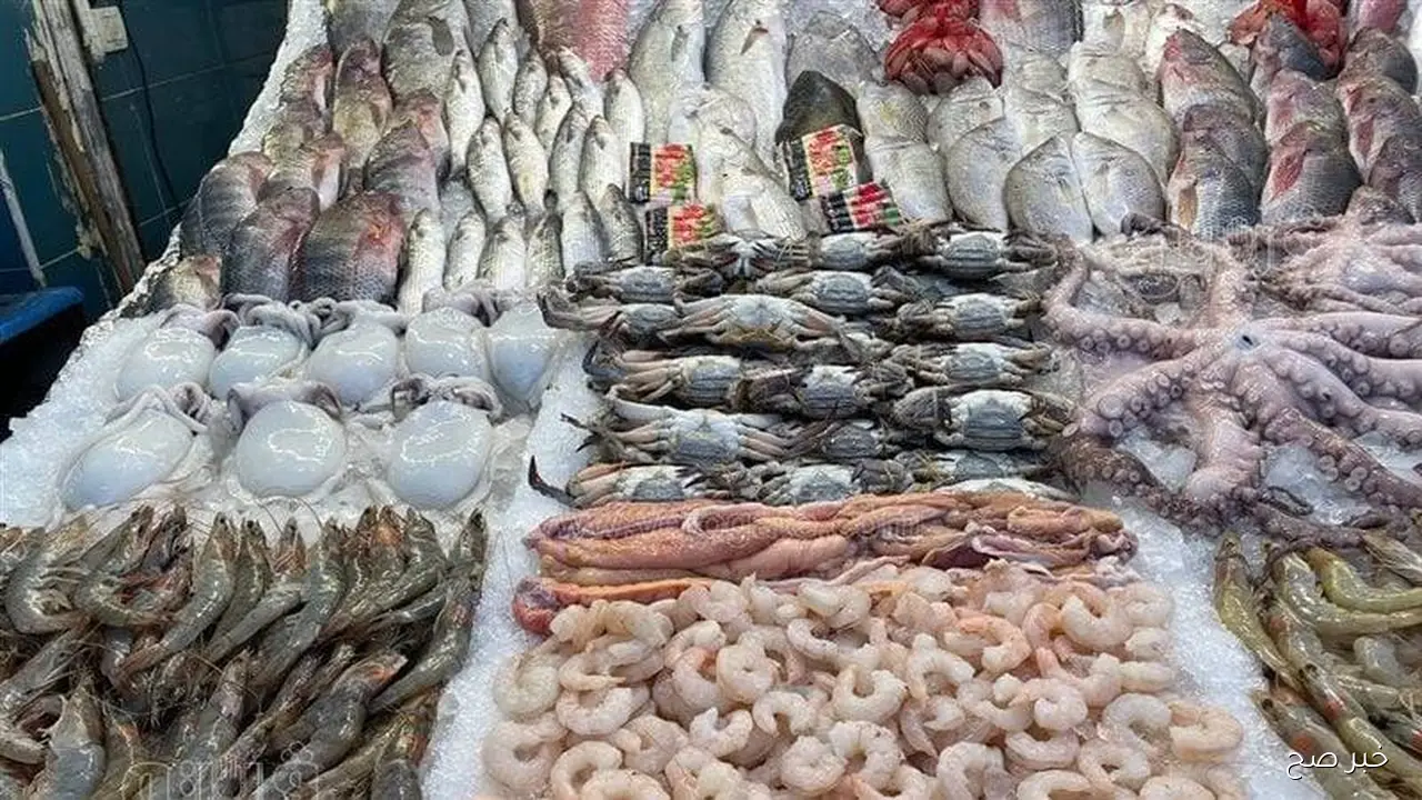 اسعار السمك اليوم الخميس 23 أكتوبر 2025 في سوق العبور.. 71 جنيهًا اعلى سعر للبلطي