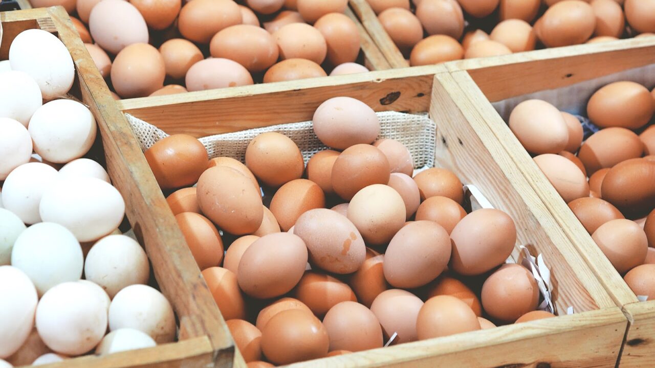 (أبيض وأحمر) سعر كرتونة البيض اليوم الجمعة 31 أكتوبر 2025 للمستهلك في مصر