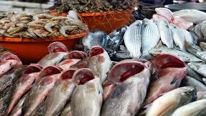 “طازج ومجمد” قائمة اسعار السمك اليوم والجمبري الأحد 5 أكتوبر 2025 بداخل سوق العبور والأسواق المختلفة