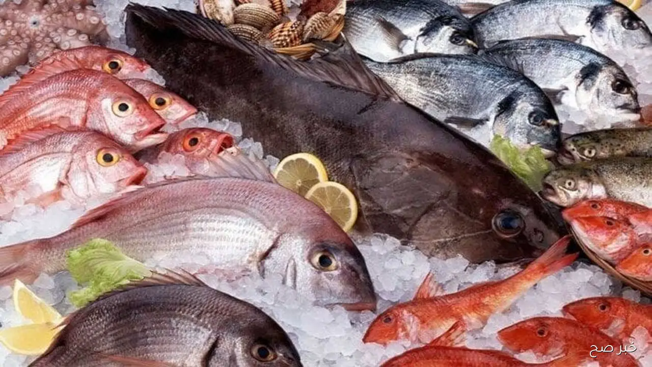 اسعار السمك اليوم بمستهل صباح تعاملات السبت 18 أكتوبر 2025 بداخل سوق العبور والأسواق المختلفة