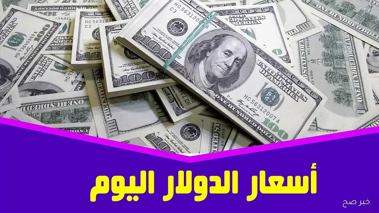 اعلى سعر للدولار اليوم في السوق السوداء يقفز وسط غياب حركة البنوك الرسمية ويتجاوز 48 جنيه