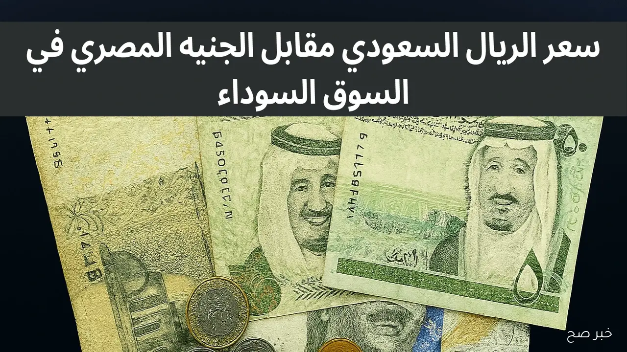 سعر الريال السعودي اليوم في السوق السوداء تحديث يومي.. 1000 ريال سعودي بكام مصري؟