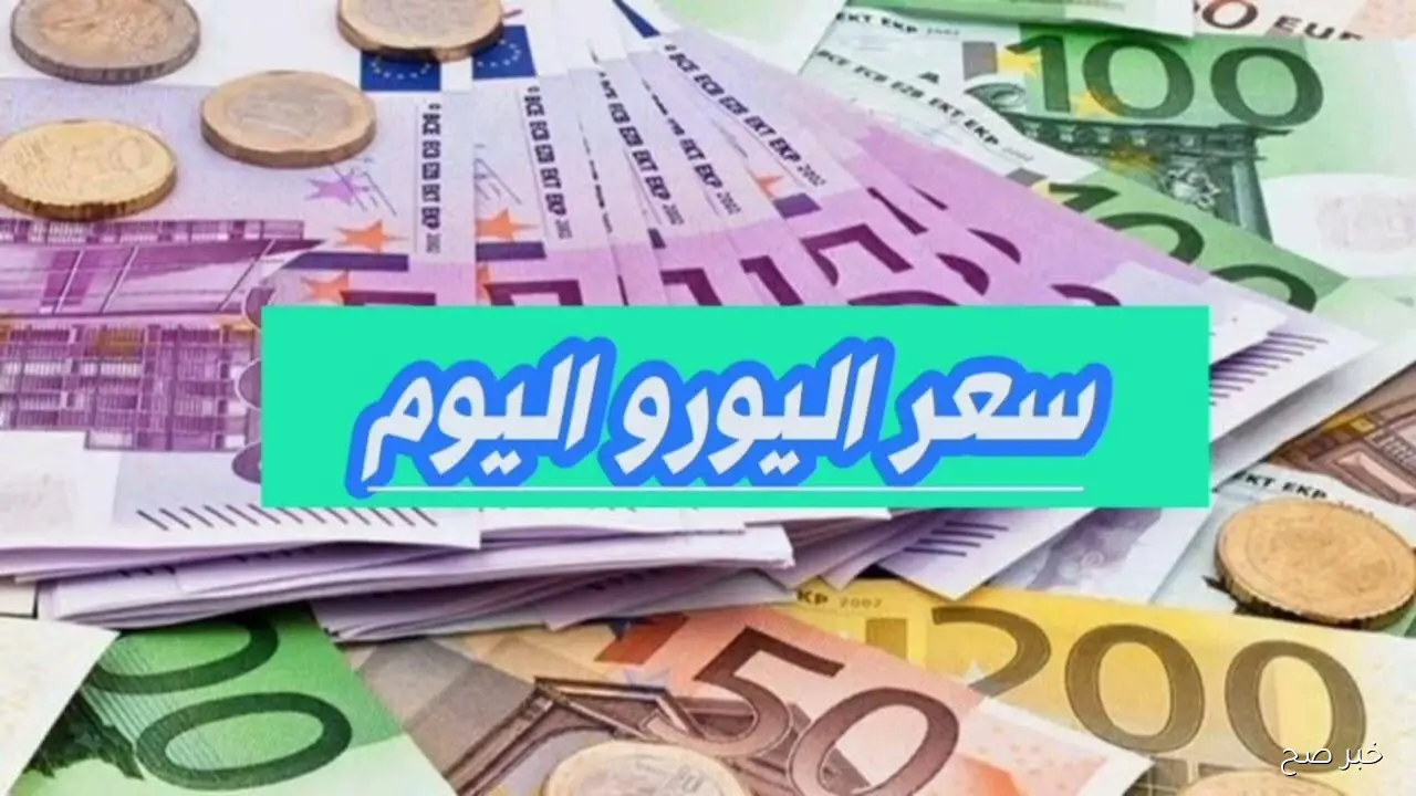 “بين ارتفاع وانخفاض”.. سعر اليورو اليوم مقابل الجنية في البنوك والسوق الغير رسمية