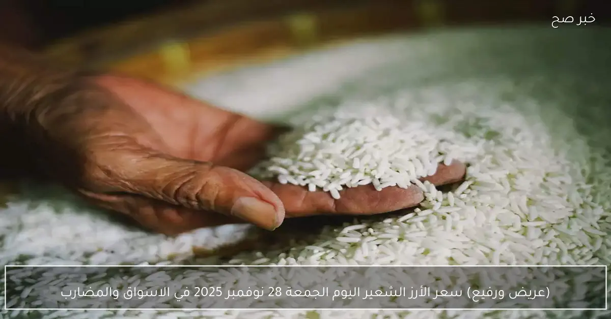 (عريض ورفيع) سعر الأرز الشعير اليوم الجمعة 28 نوفمبر 2025 في الاسواق والمضارب