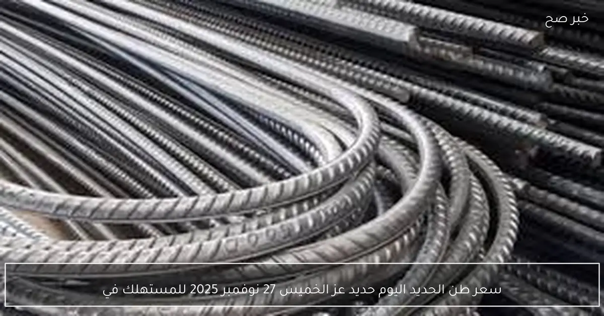 ارتفاع سعر طن الحديد اليوم حديد عز الخميس 27 نوفمبر 2025 للمستهلك في مصر