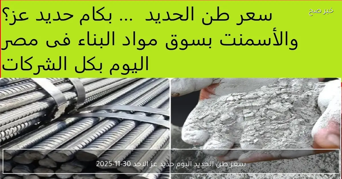 انخفاض سعر طن الحديد اليوم حديد عز الاحد 30-11-2025 للمستهلك في مصر