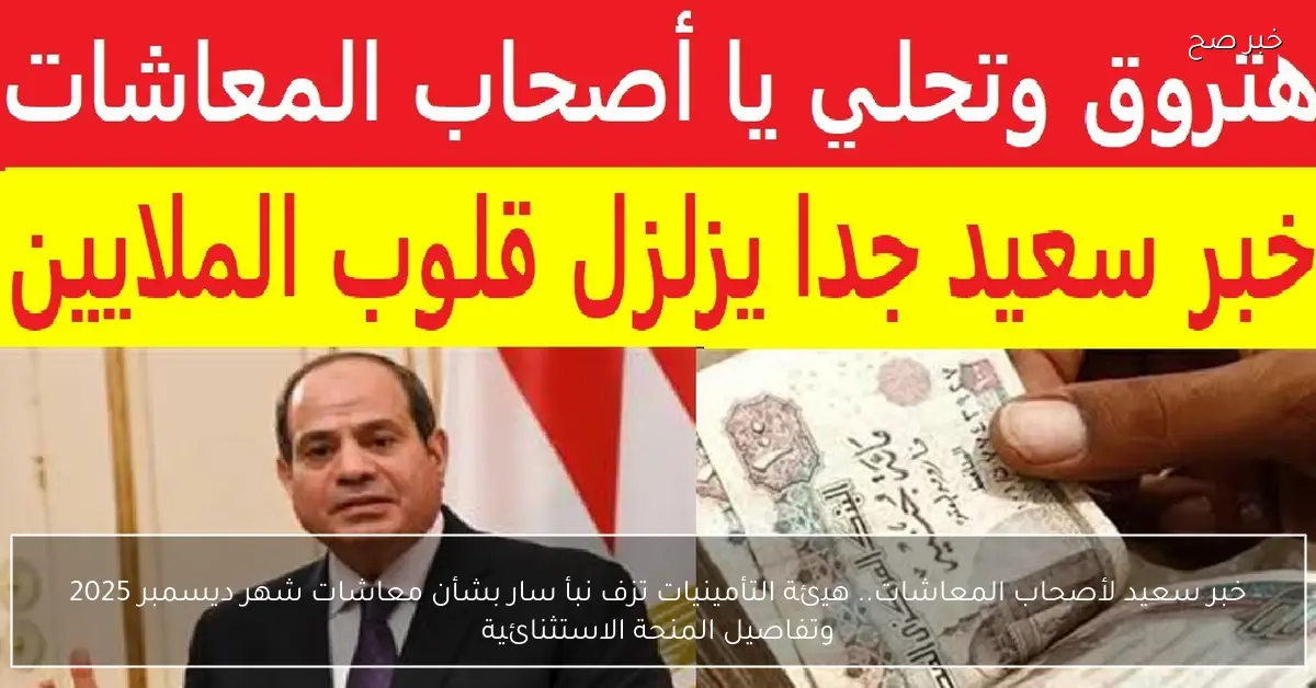 خبر سعيد لأصحاب المعاشات.. هيئة التأمينيات تزف نبأ سار بشأن معاشات شهر ديسمبر  2025 وتفاصيل المنحة الاستثنائية