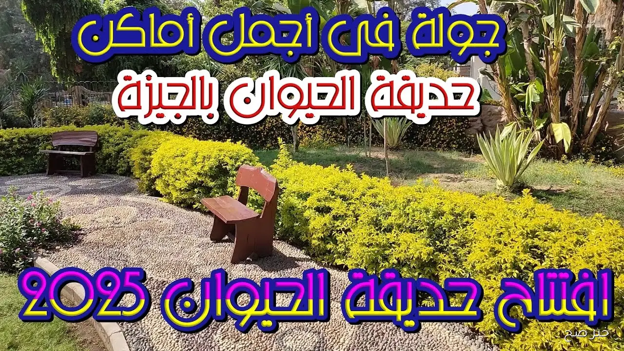 بعد تطويرها رسمياً.. موعد افتتاح حديقة الحيوان بالجيزة 2025 وخطة التجديد كاملة