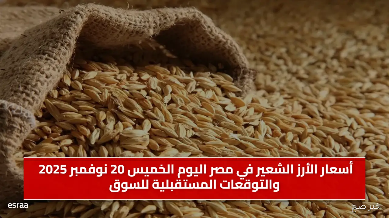 أسعار الأرز الشعير في مصر اليوم الخميس 20 نوفمبر 2025 والتوقعات المستقبلية للسوق