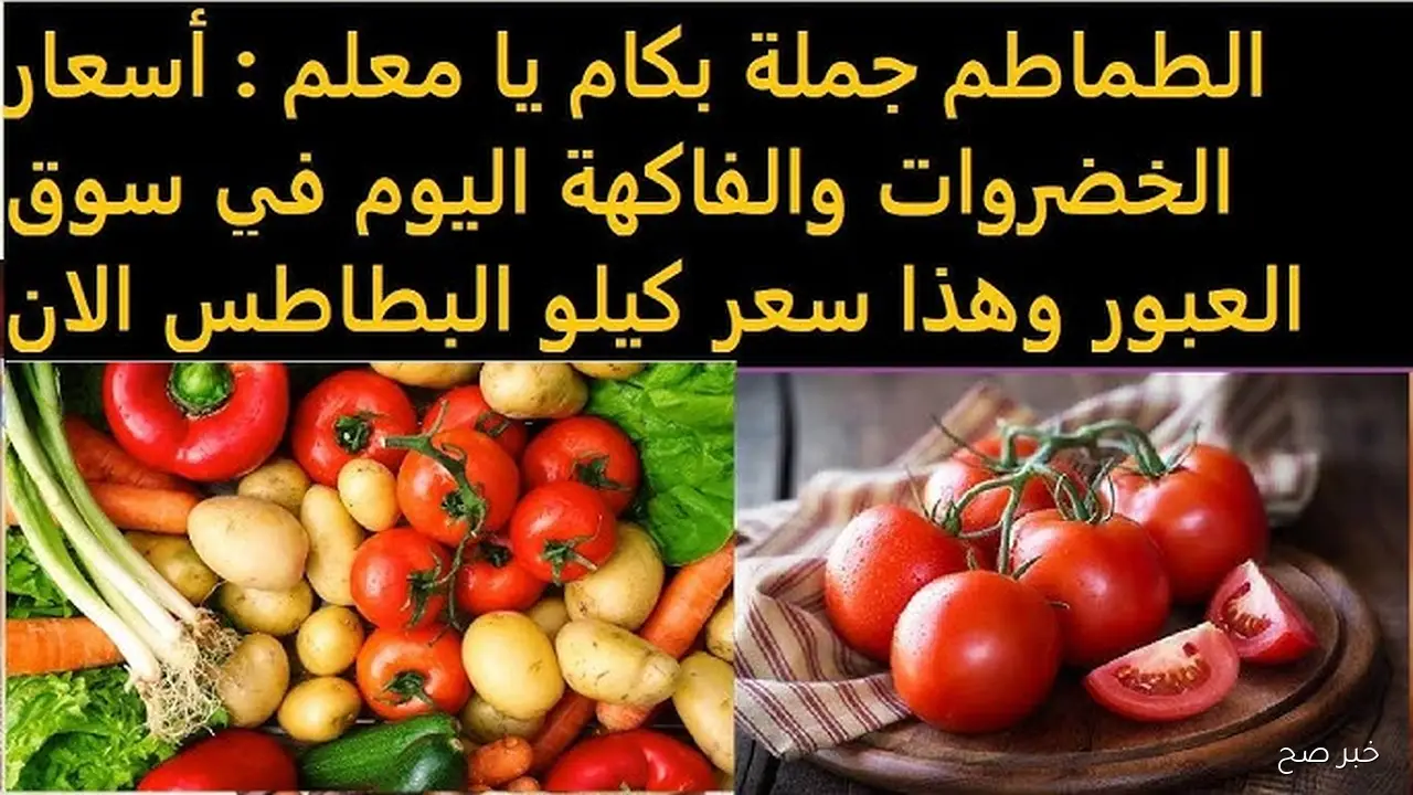 جدول أسعار الخضروات في سوق العبور اليوم الأربعاء 12/11/2025 مصر .. كيلو البطاطس بكام؟