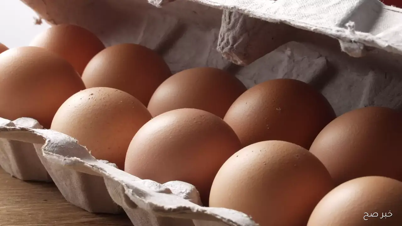 انخفاض غير مسبوق.. سعر كرتونة البيض اليوم للمستهلك الاحد 16 نوفمبر 2025 في مصر