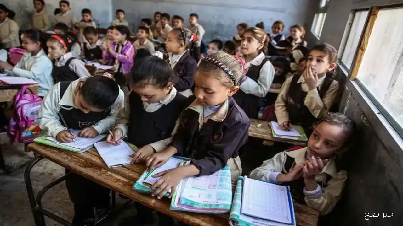 الوزارة تُعلن رسمياً .. مقررات شهر نوفمبر 2026 لجميع صفوف النقل بجميع المواد