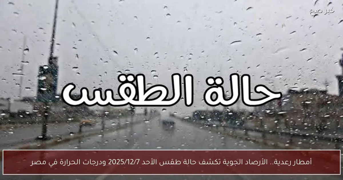 أمطار رعدية.. الأرصاد الجوية تكشف حالة طقس الأحد 2025/12/7 ودرجات الحرارة في مصر