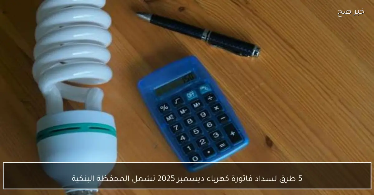 5 طرق لسداد فاتورة كهرباء ديسمبر 2025 تشمل المحفظة البنكية