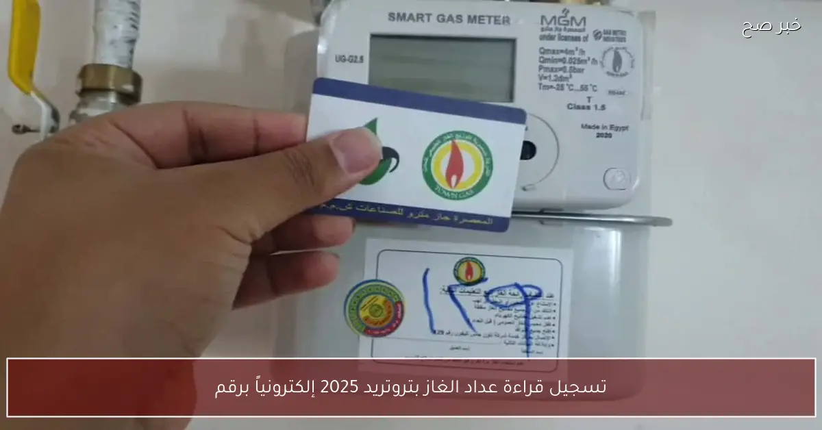 خطوة بخطوة.. تسجيل قراءة عداد الغاز بتروتريد 2025 إلكترونياً برقم العداد عبر petrotrade وطرق السداد