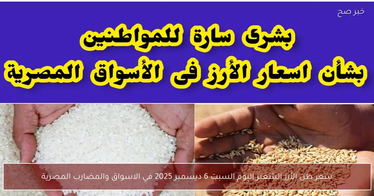 سعر طن الأرز الشعير اليوم السبت 6 ديسمبر 2025 في الاسواق والمضارب المصرية