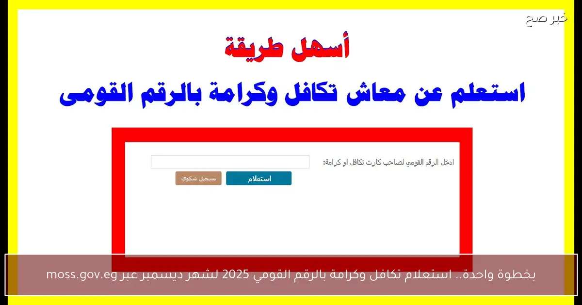 بخطوة واحدة.. استعلام تكافل وكرامة بالرقم القومي 2025 لشهر ديسمبر عبر moss.gov.eg