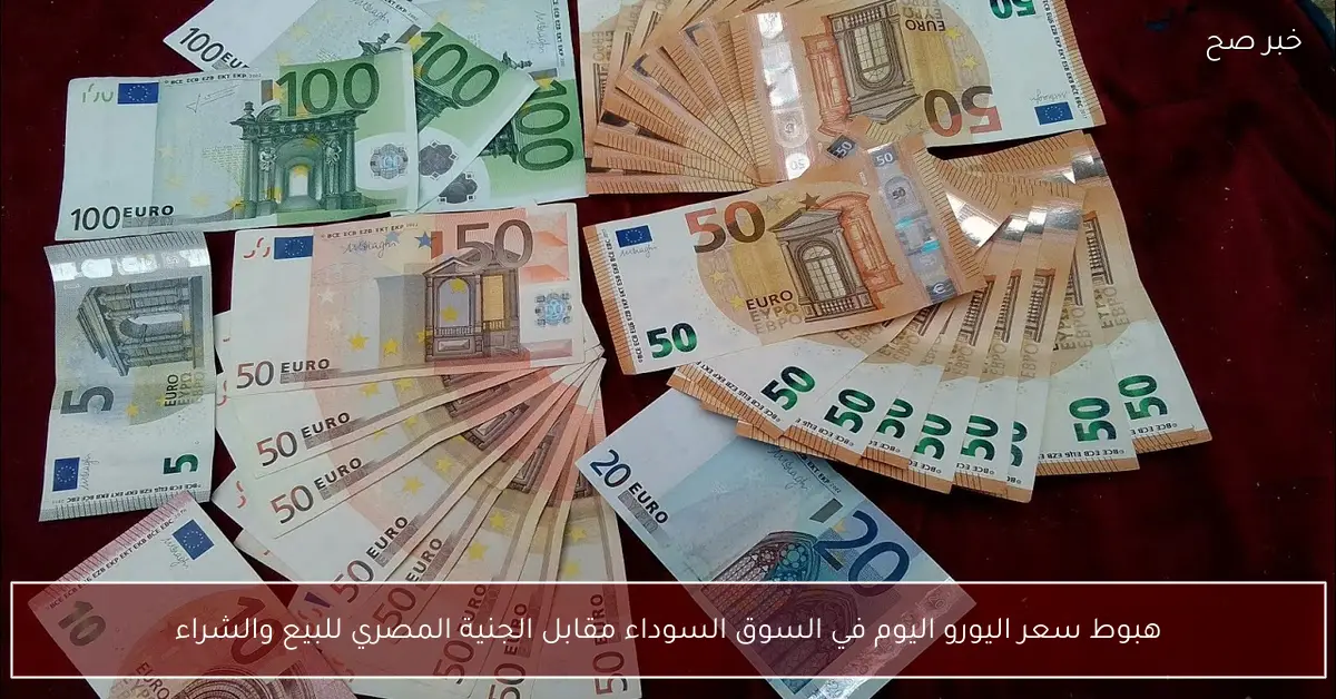 هبوط سعر اليورو اليوم في السوق السوداء مقابل الجنية المصري للبيع والشراء